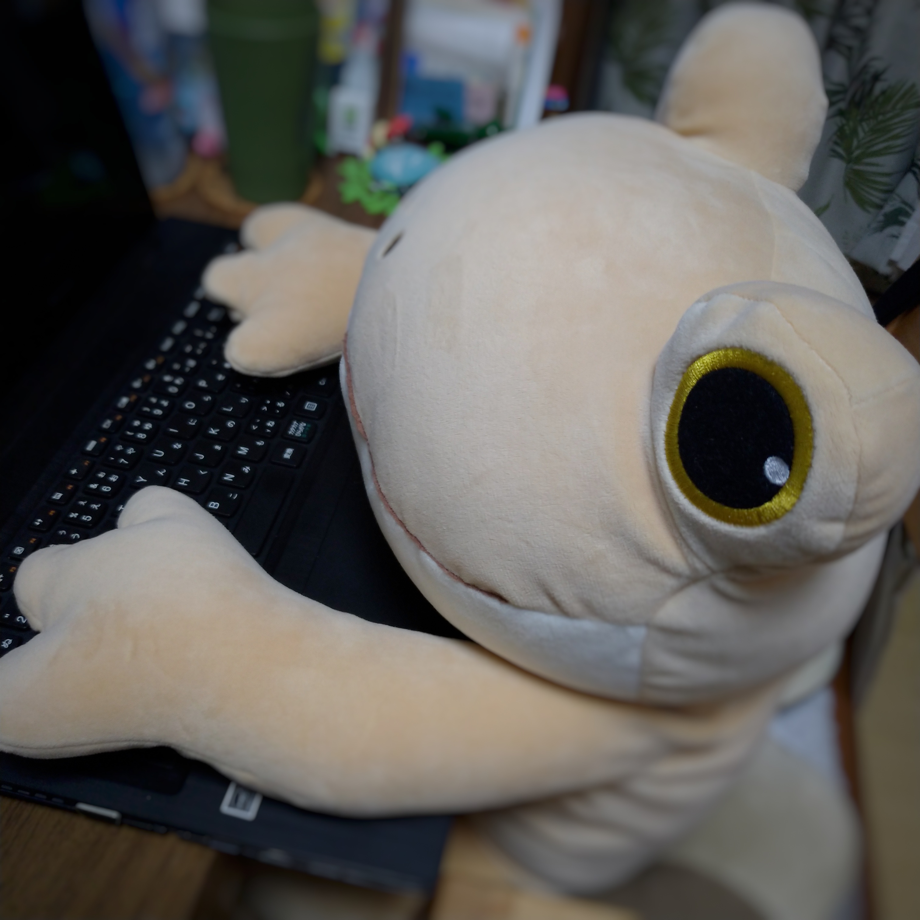 コポーと愉快な仲間たち